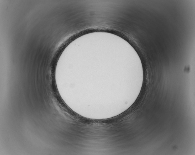 X0000112860684200909181801