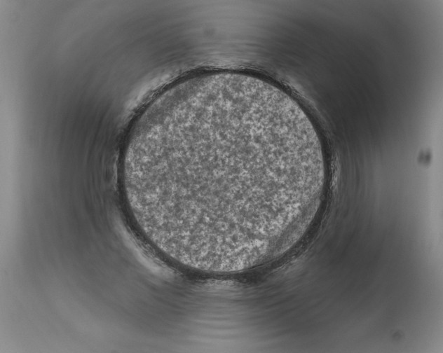 X0000112860685200909181801