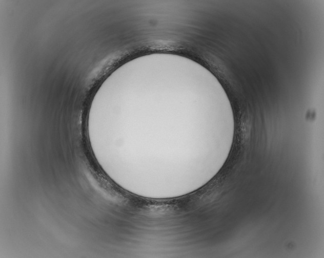 X0000112860686200909181801