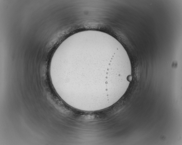 X0000112860687200909181801