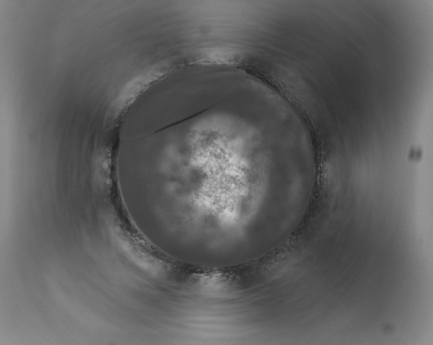 X0000112860688200909181801