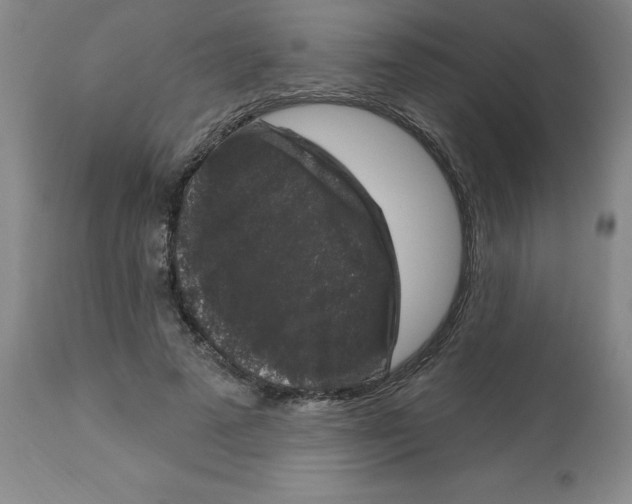 X0000112860689200909181801