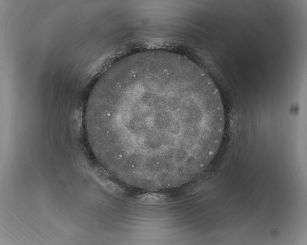 X0000112860691200909181801