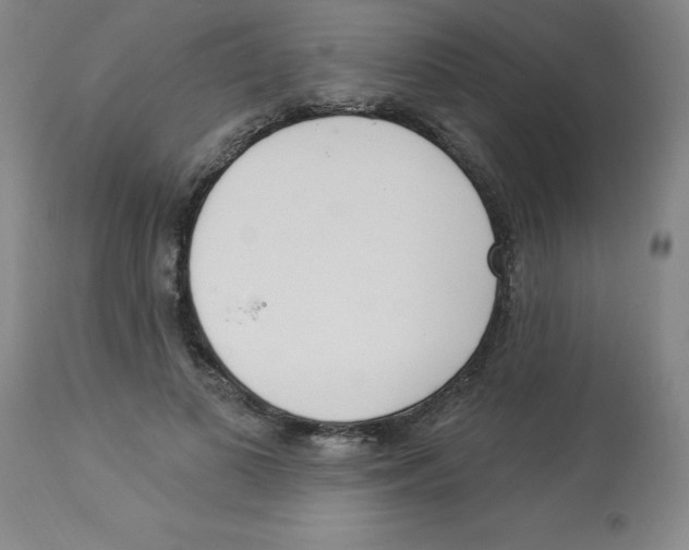 X0000112860693200909181801