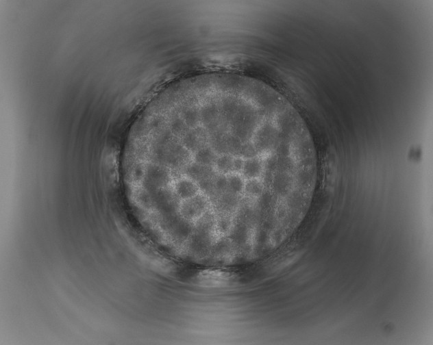 X0000112860699200909181801