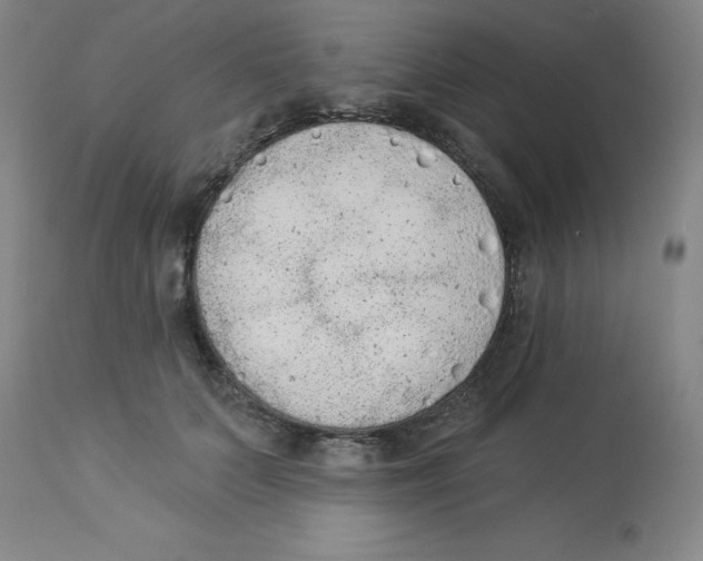 X0000112860703200909181801