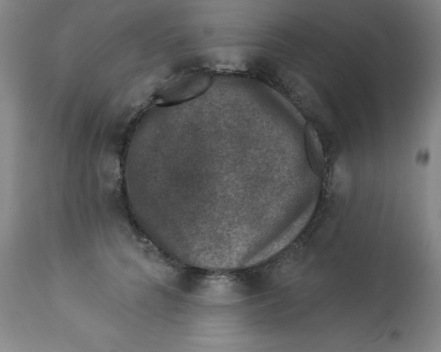 X0000112860704200909181801