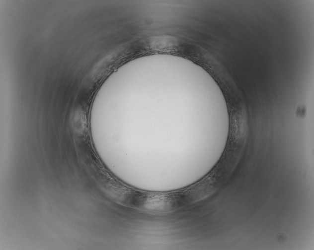 X0000112860705200909181801