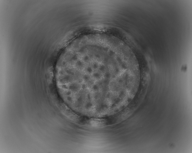 X0000112860707200909181801