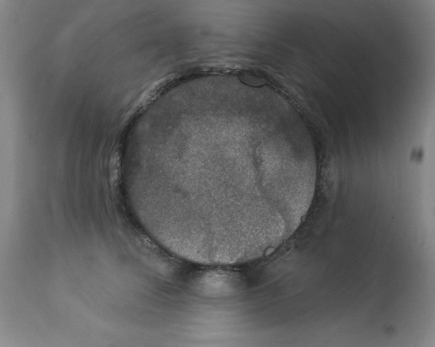 X0000112860708200909181801