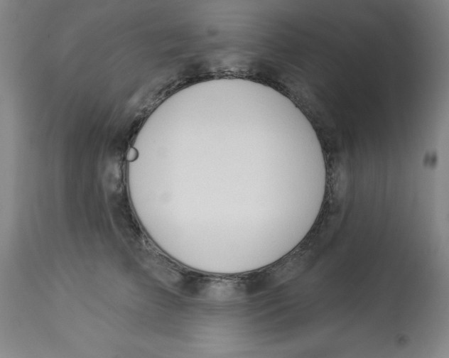 X0000112860709200909181801