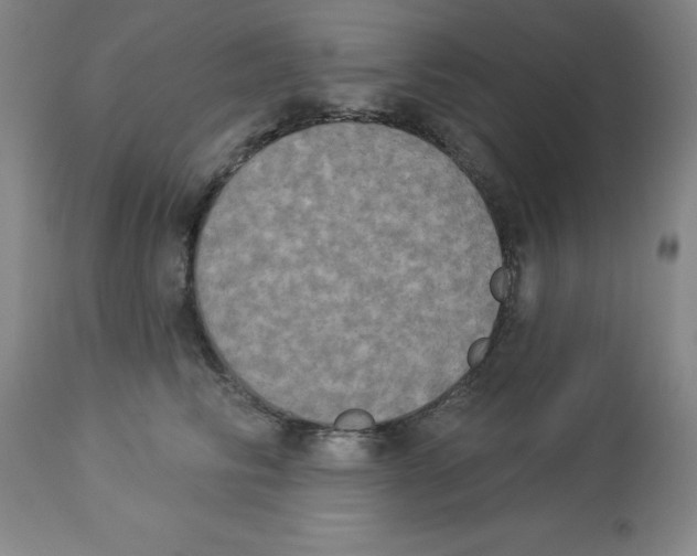 X0000112860710200909181801