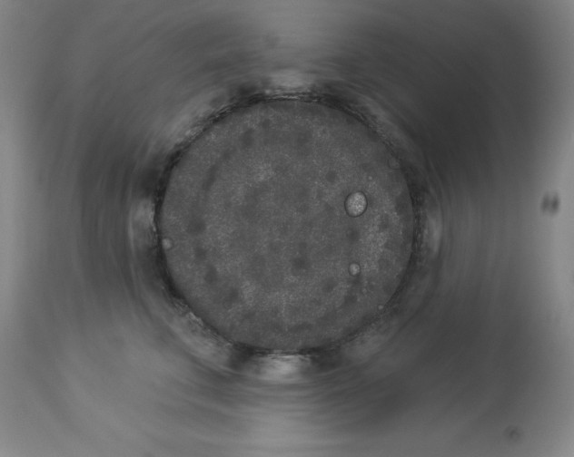 X0000112860711200909181801