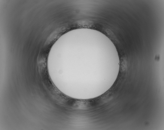 X0000112860713200909181801