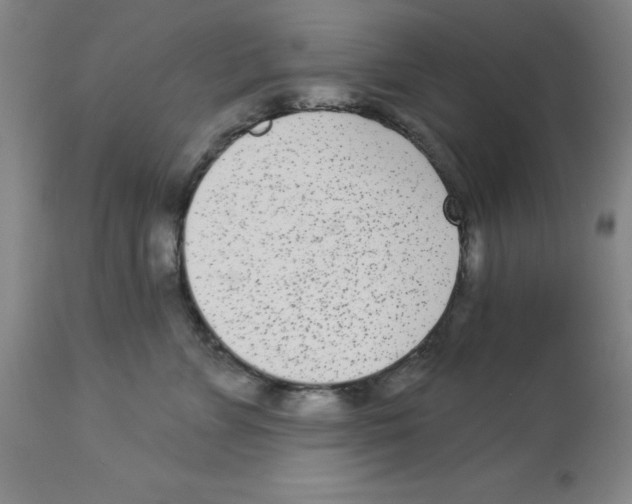 X0000112860715200909181801