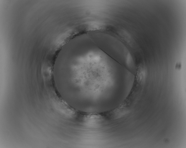 X0000112860716200909181801