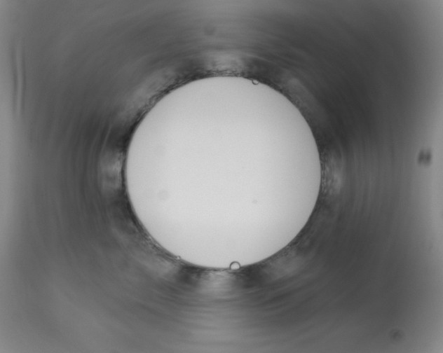 X0000112860717200909181801