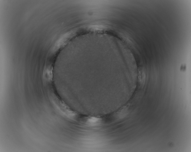 X0000112860718200909181801