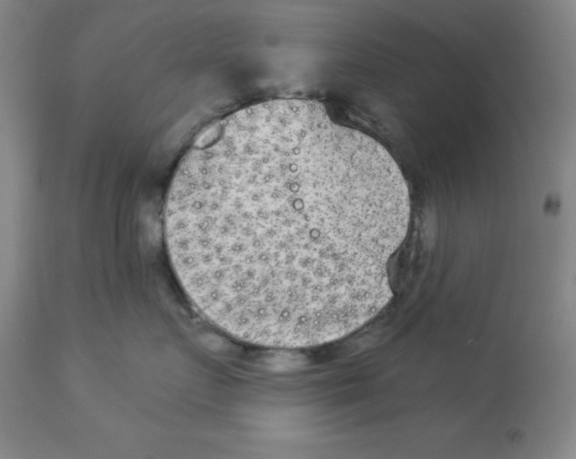X0000112860719200909181801