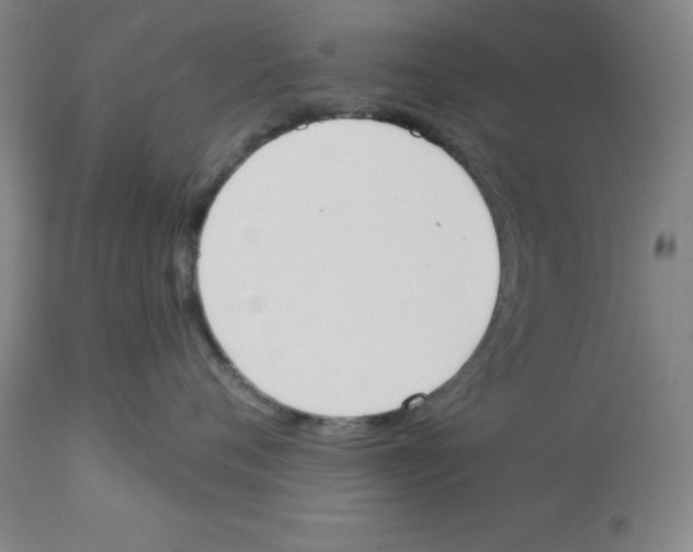 X0000112860720200909181801