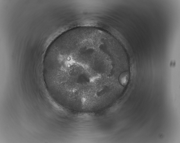 X0000112860721200909181800