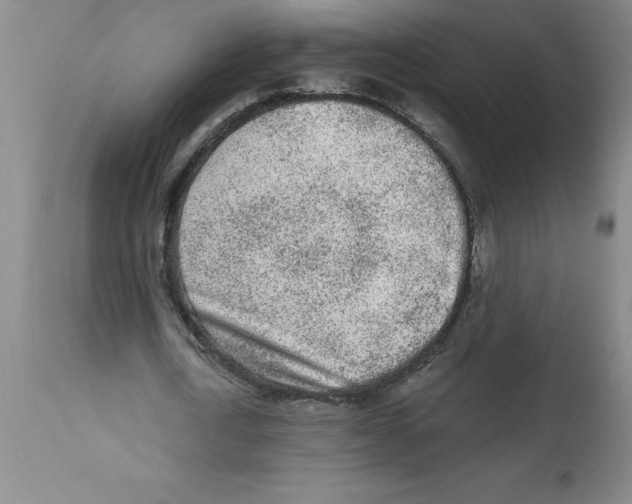 X0000112860722200909181800