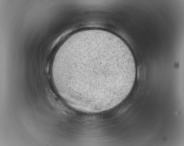 X0000112860723200909181800