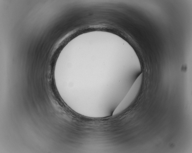 X0000112860724200909181800