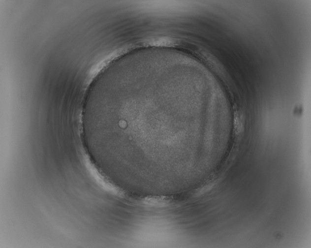 X0000112860725200909181800