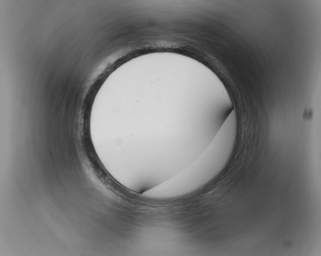 X0000112860726200909181800