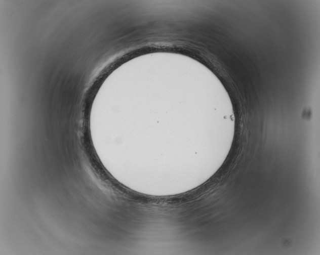 X0000112860728200909181800