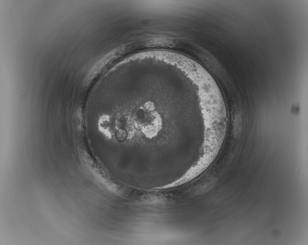 X0000112860729200909181800