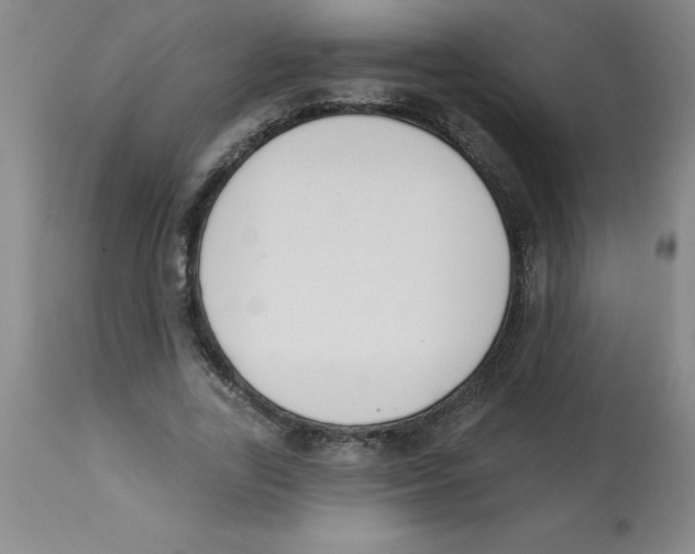 X0000112860731200909181800