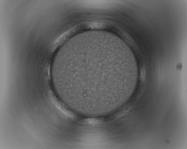 X0000112860733200909181800