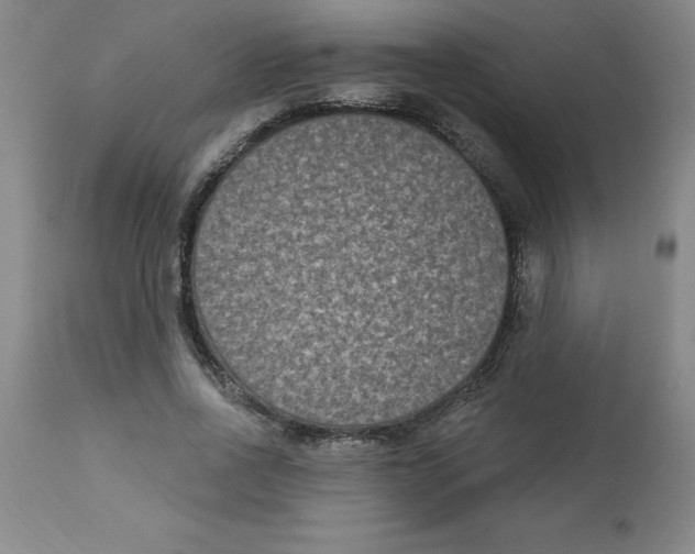 X0000112860734200909181800