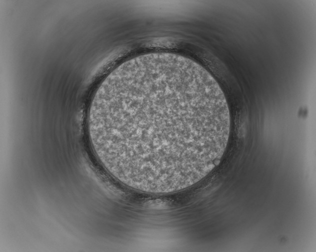 X0000112860735200909181800