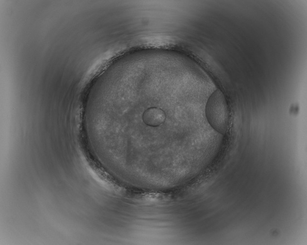 X0000112860736200909181800