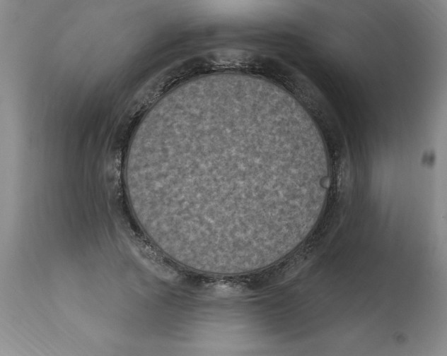 X0000112860737200909181800