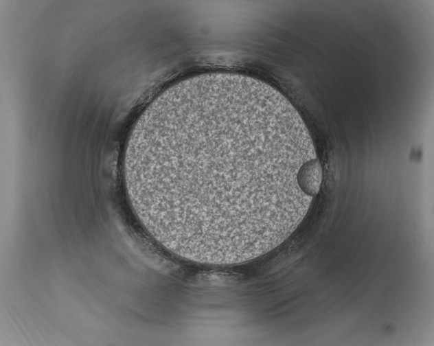 X0000112860739200909181800