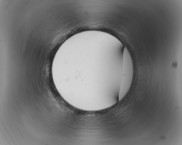 X0000112860740200909181800