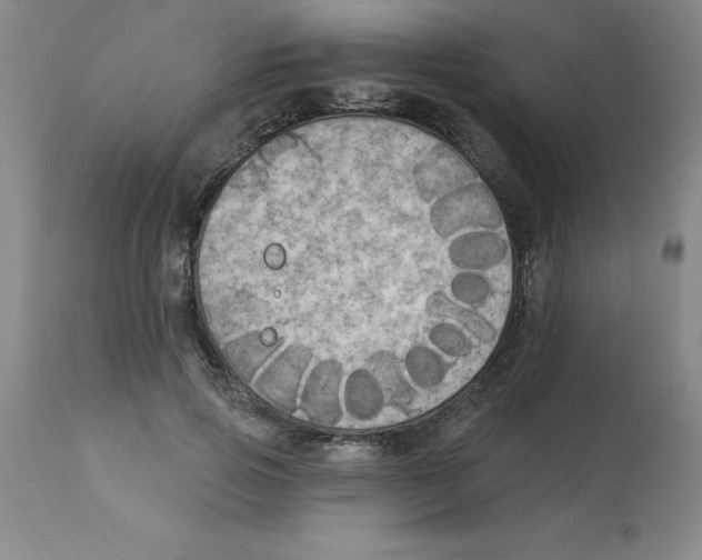 X0000112860741200909181800