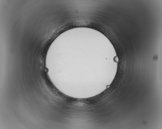 X0000112860743200909181800