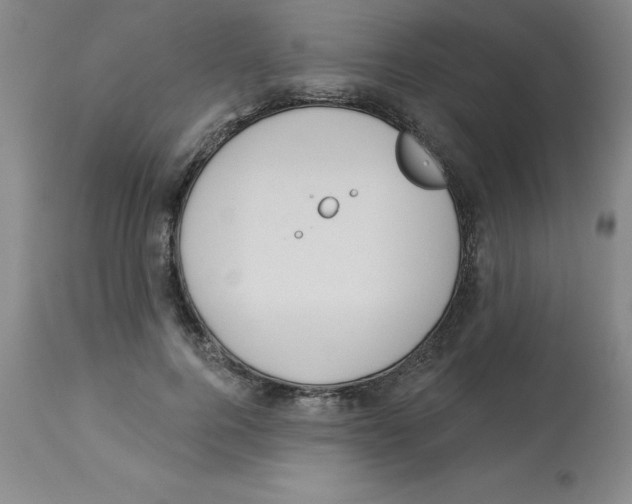 X0000112860744200909181800