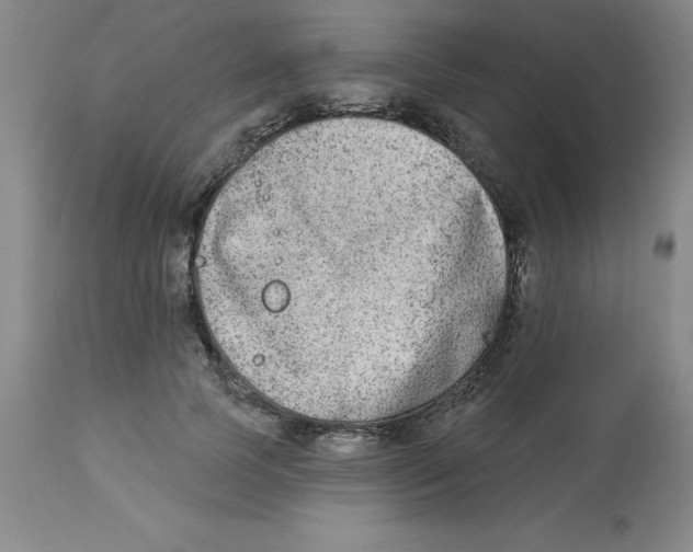 X0000112860745200909181800