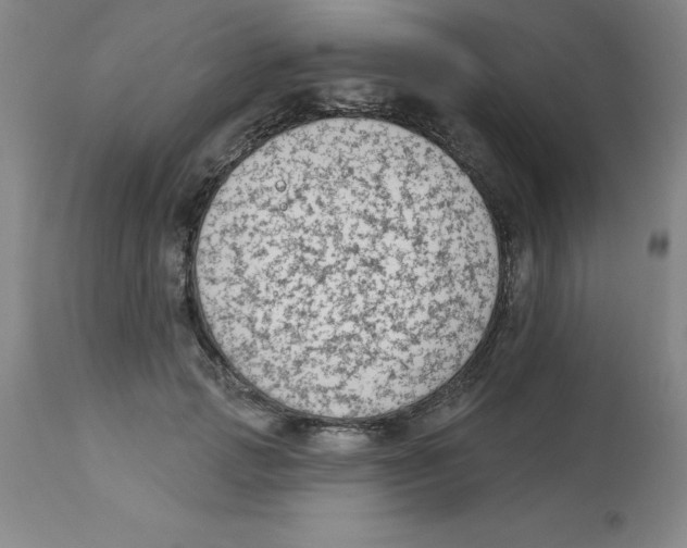 X0000112860749200909181800