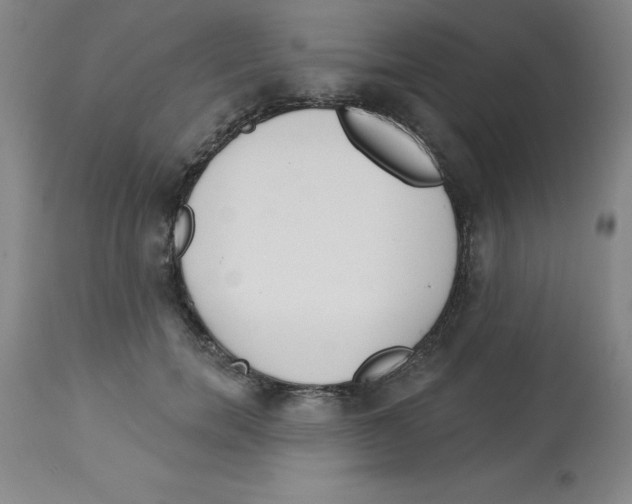 X0000112860750200909181800