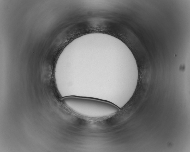 X0000112860752200909181800