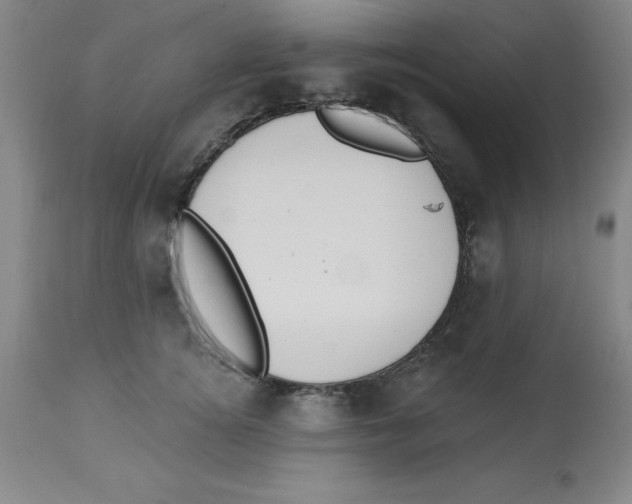 X0000112860756200909181801