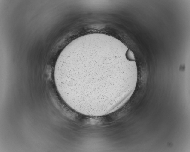 X0000112860758200909181801