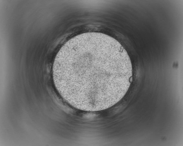 X0000112860759200909181801